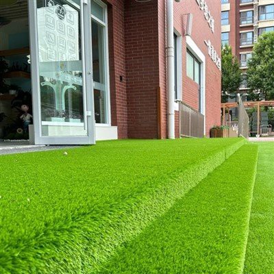 Asilo per il tempo libero artificiale erba