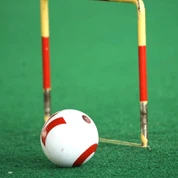 Turfo specializzato per il tappeto erboso bocce